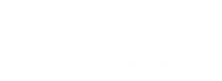 NASM